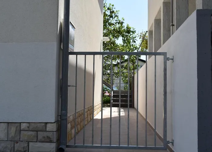 Veronika Nin